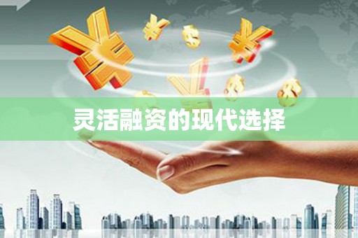 蠡县灵活融资的现代选择