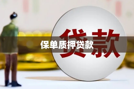 蠡县保单质押贷款