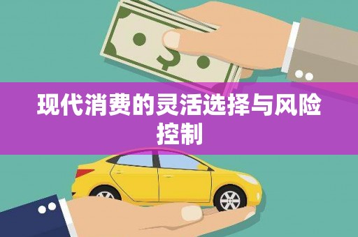 蠡县现代消费的灵活选择与风险控制