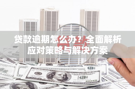 蠡县贷款逾期怎么办？全面解析应对策略与解决方案