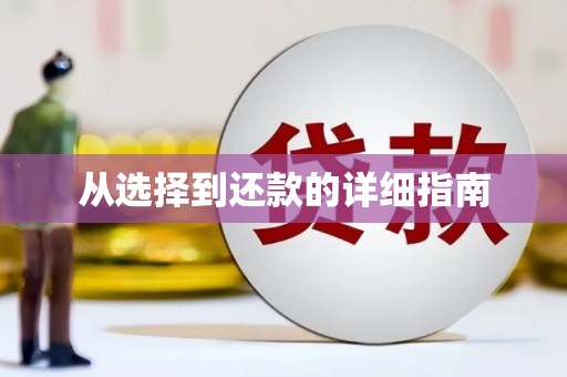 蠡县从选择到还款的详细指南