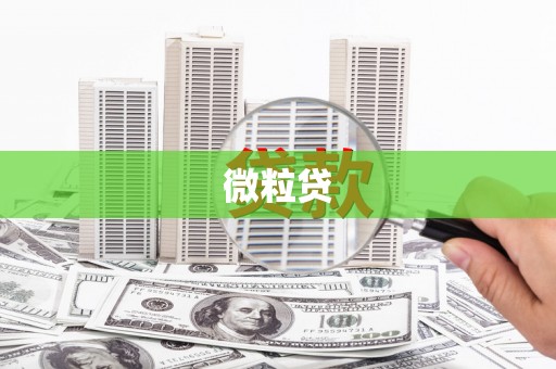 蠡县微粒贷