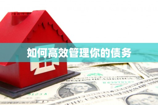 蠡县如何高效管理你的债务