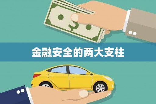 蠡县金融安全的两大支柱