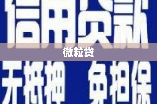 蠡县微粒贷