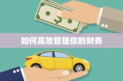 蠡县如何高效管理你的财务