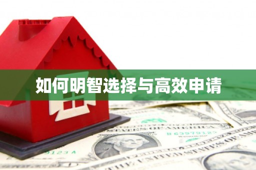 蠡县如何明智选择与高效申请