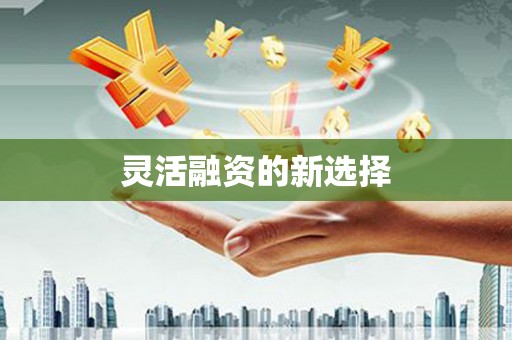蠡县灵活融资的新选择