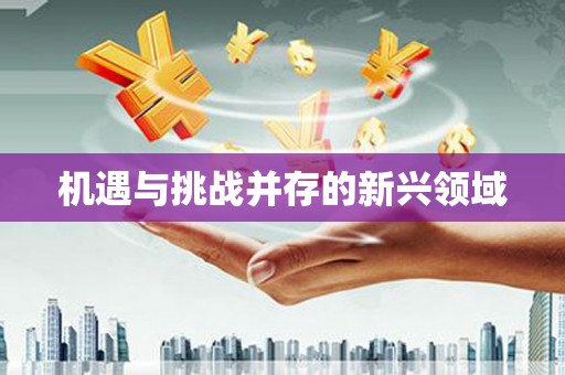 蠡县机遇与挑战并存的新兴领域