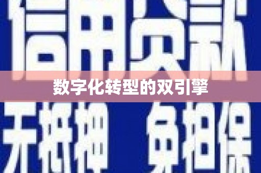 蠡县数字化转型的双引擎