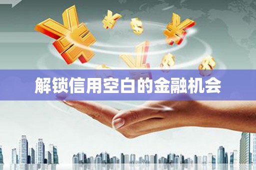 蠡县解锁信用空白的金融机会