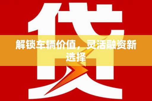 蠡县解锁车辆价值，灵活融资新选择