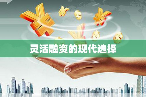 蠡县灵活融资的现代选择