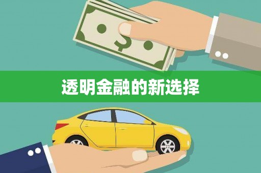 蠡县透明金融的新选择