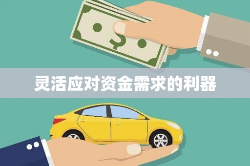 蠡县灵活应对资金需求的利器