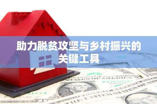 蠡县助力脱贫攻坚与乡村振兴的关键工具
