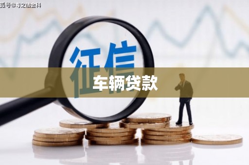 蠡县车辆贷款