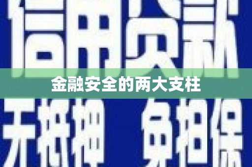 蠡县金融安全的两大支柱