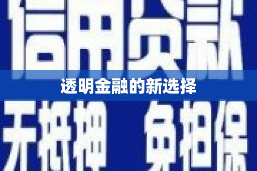 蠡县透明金融的新选择
