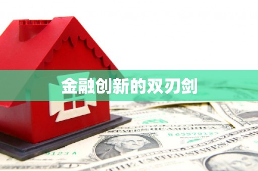 蠡县金融创新的双刃剑