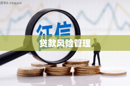 蠡县贷款风险管理