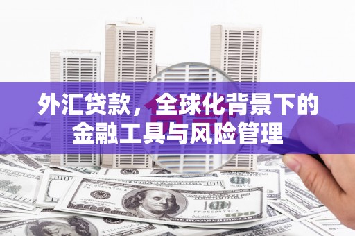 蠡县外汇贷款，全球化背景下的金融工具与风险管理