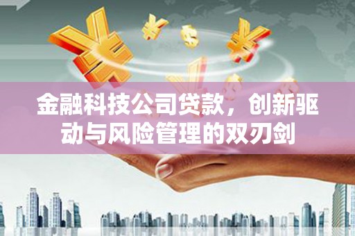 蠡县金融科技公司贷款，创新驱动与风险管理的双刃剑